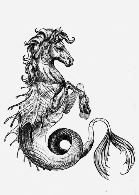 Hippocampus Mythology, Mythology Drawings, Seahorse Tattoo, Greek Mythology Tattoos, Mermaid Drawings, Mythology Tattoos, Sea Horse, 문신 디자인, Mythical Creatures Art