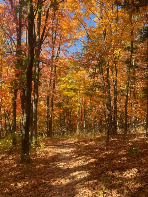 Fall In Missouri, Fall Ideas Activities, Missouri Aesthetic, Fall Hiking Aesthetic, Aesthetic Background Green, Autumn Academia, Missouri Hiking, Autumn Hike, Mine Aesthetic