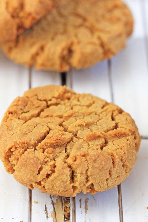 Sun Butter Balls, Sun Butter Cookies, Sunflower Seed Butter Cookies, Sun Butter Recipes, Sunflower Seed Butter Recipes, Sunflower Seed Cookies, Sunflower Butter Cookies, Sunbutter Cookies, Sunbutter Recipes