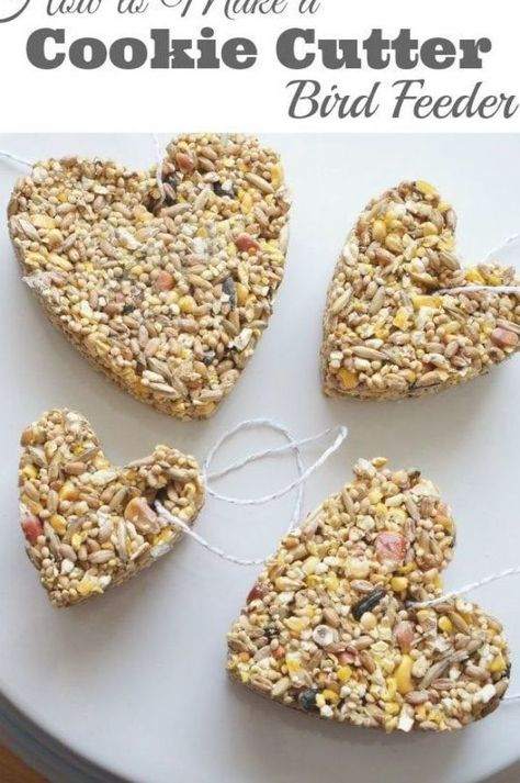 Heart Shaped Bird Seed Feeder, Toddler Bird Feeder Craft, Kid Bird Feeder Craft, Bird Seed Cakes How To Make, How To Make Bird Seed Cakes, Simple Bird Feeders For Kids To Make, Diy Bird Seed Cakes, Natural Bird Feeders, Pinecone Bird Feeder No Peanut Butter