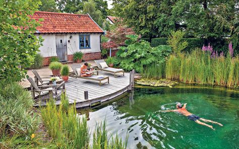 The wild rise of posh ponds | The Telegraph Decking Over Pond, Mediterranean Landscape Design, Swimming Ponds, Swimming Pool Pond, Natural Swimming Ponds, Pool Landscape Design, Swimming Pond, Pond Landscaping, Natural Pond