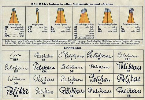 Early chart of available Pelikan nib sizes Pen Photography, Pelikan Fountain Pen, Best Fountain Pen, Fountain Pens Calligraphy, Dog Pens, Dog Pen, Vintage Pens, Fountain Pen Nibs, Calligraphy Nibs