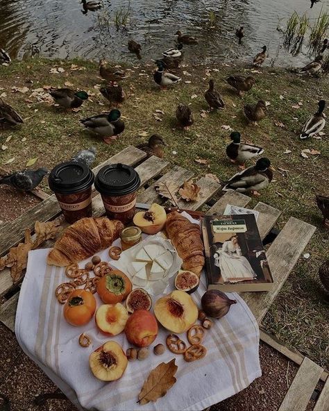 Fall Picnic Food, Fall Picnic, Autumn Instagram, Fall Mood Board, Fall Bucket List, Picnic Date, Picnic Food, Season Of The Witch, Fall Photoshoot