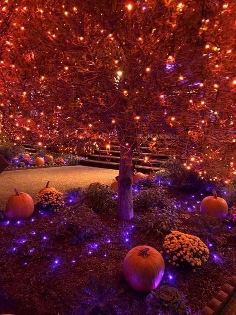 Orange Halloween Lights Outdoor, Cleopatra Halloween, Outdoor Halloween Decor, Halloween House Party, Halloween Tattoo, Purple Halloween, Diy Outdoor Decor, Halloween Trees, Halloween Aesthetic