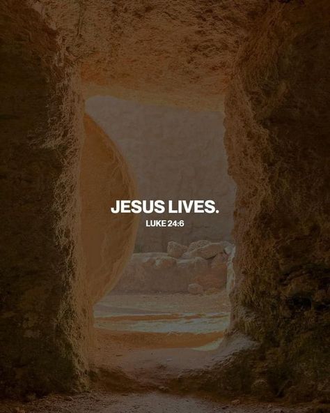 #ItsTrue; ... "He is not here, but is risen." The “Good News” is that because of His Atonement and Resurrection, leaving the tomb behind, we can also leave our past behind! #BecauseHeLives we, too, can know “peace in this world, and eternal life in the world to come.” 'He is risen! He is risen! Tell it out with joyful voice. He has burst His three days’ prison; let the whole wide earth rejoice.' God be thanked for the matchless gift of His divine Son! Learn more facebook.com/LordJesusChristpage. He Is Not Here He Is Risen Jesus Christ, He’s Risen, He Is Not Here For He Has Risen Quotes, He Is Risen Wallpaper Aesthetic, He Is Risen Aesthetic, Craig Groeschel, The World To Come, Jesus Has Risen, Rise Quotes