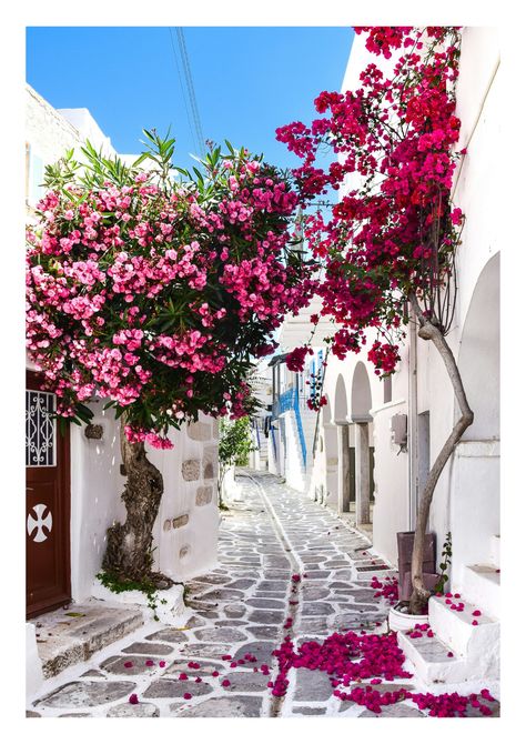 Greece Print, City Print, Kos Greece Photograph, Europe Print, Travel Poster, Wall Art, Home Decor, Birthday Gift, Greek Island - Etsy Greece Wallpaper, Grecia Santorini, Narrow Street, Paros Island, Paros Greece, Mykonos Island, Flowers Photo, White Building, Romantic City