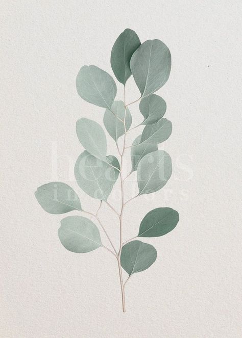 Eucalyptus Photography, Eucalyptus Print, Feuille Eucalyptus, Eucalyptus Branches, Botanical Wall Decor, Wall Art Botanical, Pink Wall Art, Plant Print, Photography Wall