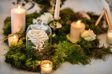 Moss Centerpiece, Moss Wedding Decor, Candle Light Wedding, Backyard Wedding Lighting, Moss Centerpieces, Moss Wedding, Fairy Lights Wedding, Night Time Wedding, Diy Outdoor Weddings