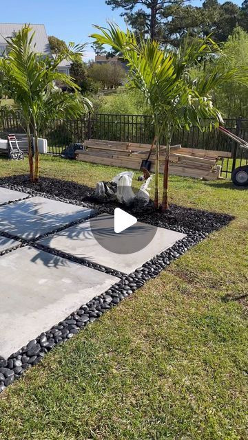 Tenesia & Terence | NC on Instagram: "Adding palm trees to our backyard 🌴 Everyone convinced us to add rocks to the perimeter (12 more bags) but we are keeping mulch with the palms. I want to add some type of smaller plant between the palms but can’t decide what yet.   For the fence corner, we went with one bigger palm (I think it’s a Pygmy date palm) and ground coverage flowers along the edge  #backyard #diycouple #landscapingideas #backyardideas #diy #palmtrees #homeimprovement #backyarddesign #homeprojects" Backyard Palm Tree Ideas, Palm Tree Backyard Landscaping, Lipstick Palm Landscaping, Potted Palm Trees Outdoor, Palm Tree Base Landscaping, Landscaping Around Palm Trees, Palm Tree Landscape Ideas Backyards, Backyard Sand Area, Backyard Landscaping With Trees