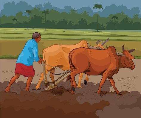 Indian farmer working in village agriculture Agriculture Drawing, Farmer Illustration, Farmer Working, Indian Farmer, Old Man Cartoon, Village Illustration, Agriculture Land, Village Scene Drawing, Farmer Painting