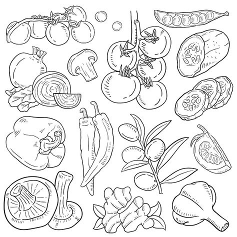 Premium Vector | Food and baverage doodle vector line art Line Art Food Illustration, Vegetable Line Drawing, Food Doodle Art Illustrations, Food Illustrations Vector, Grocery Drawing, Doodle Art Food, Snacks Drawing, Vector Line Art, Inktober 2024