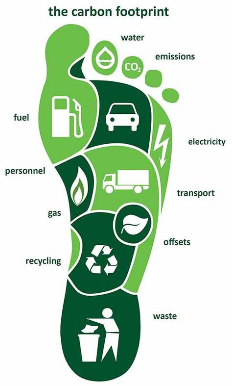 Use this for a spread - but not carbon footprint...how we spend our time during the day? A graph with percentages... Carbon Footprint Calculator, Footprint Poster, Reducing Carbon Footprint, Environmentally Friendly Living, Save Environment, Save Our Earth, Ecological Footprint, Environment Day, Energy Technology