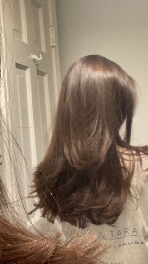 brunette hair, layers, hairstyle Healthy Layered Hair, Long Flowy Layers Hair, Soft Layers Unstyled, Blowout Brunette Hair, Hairstyles For Fluffy Wavy Hair, Haircuts For Brunettes Medium, Hair Styles For Brunettes Medium Length, Chocolate Brown Hair Layers, Brown Wavy Hair Aesthetic