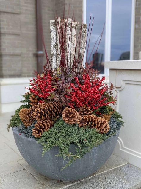 Winston Flowers – Winter Container Plantings Topiary Container Garden, Xmas Planters Outdoor, Winter Potted Plants Outdoors, Winter Flower Pots Outdoor, Winter Containers Planters, Winter Potted Plants, Winston Flowers, Winter Container Gardening, Holiday Berries