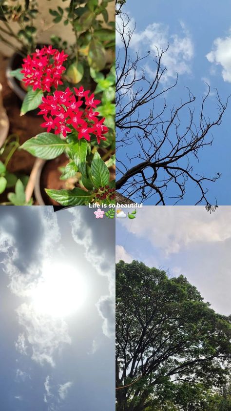 Nature Layout Instagram Story, Nature Instagram Story Ideas, Flowers Instagram Story, Creative Snaps For Snapchat, Nature Photography Quotes, Snap Streak Ideas Easy, Flowers Instagram, Instagram Creative Ideas, Sky Photography Nature