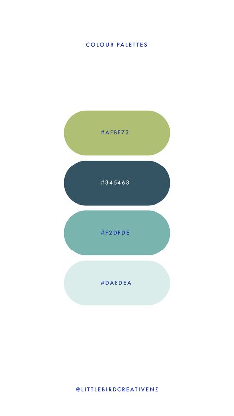 Bright Teal Color Palette, Coastal Blue Color Palette, Wind Color Palette, Navy Blue And Green Color Palette, Blue Brand Color Palette, Professional Color Palette Design, Teal Colour Combinations, Man Color Palette, Shades Of Blue Color Palette