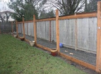 Dog Run Fence, Dog Runner, Outdoor Kennel, Diy Dog Run, Outdoor Dog Runs, Backyard Dog Area, Cheap Dog Kennels, Dog Enclosure, Dog Backyard