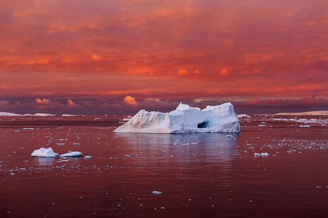 Pc Photo, Colossal Art, Plate Tectonics, Photography Exhibition, Climate Crisis, Red Sea, Documentary Photography, Quito, New Yorker