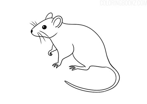 Mouse Coloring Page - Coloring Books #mouse #mouseart #mousearts #drawingmouse #mousecoloring #mousecoloringpage #mousecoloringpages #mousecoloringbook #mousecoloringbooks #adultcoloring #adultcoloringpage #adultcoloringpages #adultcoloringbook #howtodrawmouse #mousedraw Mouse Template, Mouse Outline, Coloring Books For Kids, Field Mouse, Mouse Drawing, Printable Coloring Book, Books For Kids, Colouring Pages, Adult Coloring Books