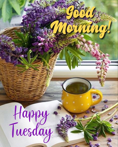 Tuesday Morning Wishes, Quotes To Make Your Day, Happy Tuesday Images, Beautiful Tuesday, Happy Tuesday Morning, Tuesday Quotes Good Morning, Tuesday Images, Tuesday Greetings, Terrific Tuesday