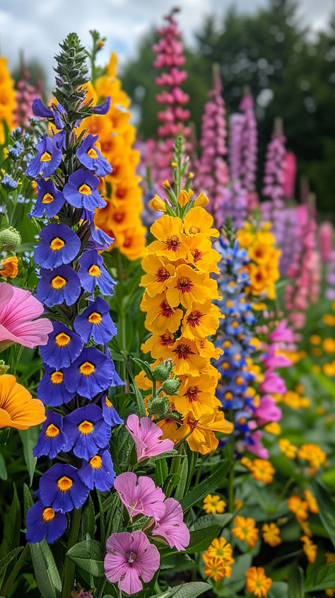 Must-Have Tall Perennial Flowers for Your Garden: 15 Varieties Beautiful Types Of Flowers, Colorful Perennial Garden, Planning A Flower Bed, Flower Gardens Perennial, Ontario Perennial Garden, Tall Perennial Flowers Part Shade, Flower Gardens For Beginners Landscaping, All Year Flowering Plants, Best Flowers To Plant In Fall