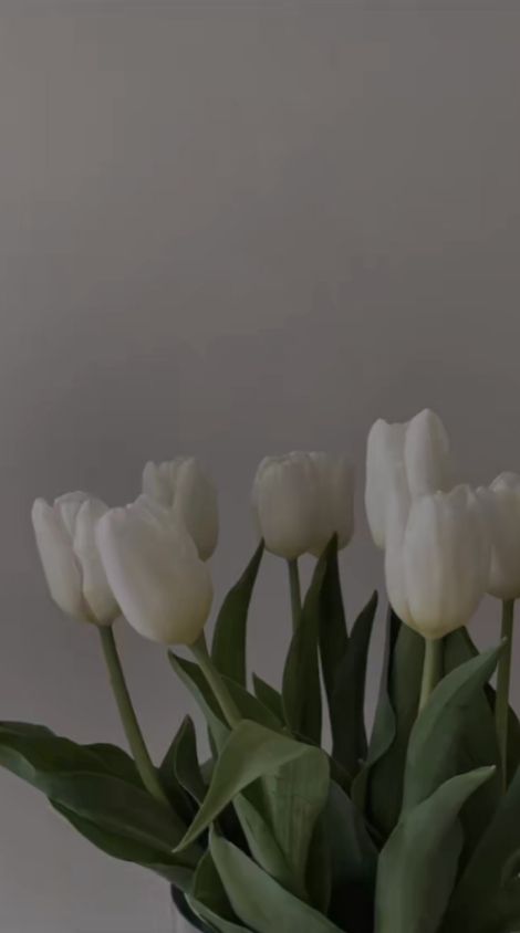 White Tulips, Ideas Style, Home Ideas, Tulips, Ios, Style Inspiration, White