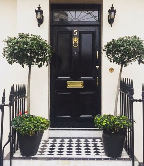 Black front door in London photo by Christina Dandar for The Potted Boxwood Black Front Entry Door, London Front Door, Potted Boxwood, Basement Flat, Black Front Door, Entry Porch, Black Front Doors, Door Entrance, Door Inspiration