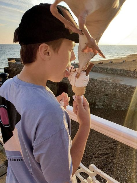 A SEAGULL comes ice-screaming in to dive bomb a lad and steal his dairy treat just as his mum took a pic. The bird stole a mouthful of the Mr Whippy just as Hugo Holzer, 11, licked it. But it did not get either of his 99 flakes on Brighton Pier on Wednesday. Mum Kasia, […] Mr Whippy, Brighton Pier, Funny Snaps, Ice Scream, Sports Celebrities, Top Celebrities, Captured Moments, Photography Skills, A Pic