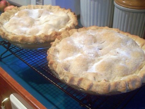 Hot Water Pie Crust Recipe, Hot Water Crust Pastry Recipe, Tenderflake Pie Crust Recipe, Hot Water Pie Crust, Amish Pie Crust Recipe, Hot Water Pie, Pie Crust With Shortening, Water Pie Recipe, Pastry Crust Recipe