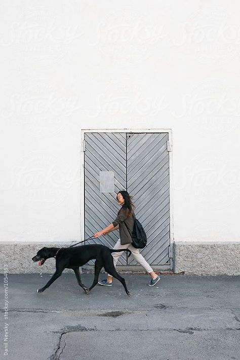 Dog Foto, Urban Dog, Girl Walking, Photos With Dog, Photo Recreation, Dog Photoshoot, City Dog, Dog Branding, Girl And Dog