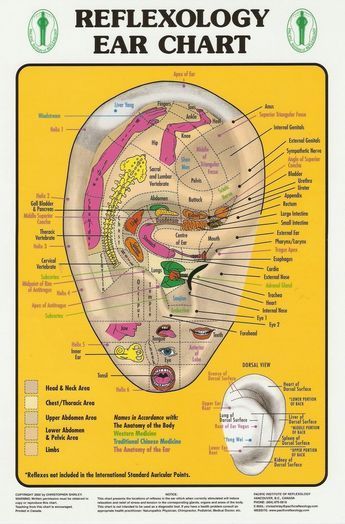 Reflexology reflexology Ear Oil, Massage Pressure Points, Ear Reflexology, Hand Reflexology, Reflexology Chart, Reflexology Massage, Alternative Healing, Acupressure Points, Traditional Medicine