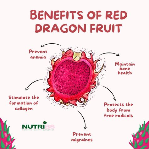 Benefits of red dragon fruit. #dragonfruit #pitaya #fruit #fruits #dragon #healthyfood #mango #organic #vegan #tropicalfruit #foodie #passionfruit #pitahaya #healthylifestyle #healthy #food #nature #dragonfruits #exoticfruit #pineapple #banana #boll #plantbased #smoothie #dragonfruitplant #dragontattoo #papaya #buahnaga #starfruit #dragonfruitfarm Dragon Fruit Benefits For Skin, Dragonfruit Benefits Health, Dragonfruit Benefits, Fruits For Healthy Skin And Hair, Dragon Fruit Health Benefits, Dragon Fruit Tea Recipe, Dragon Fruit Perfume, Dragon Fruit Nutrition Facts, Dragon Fruit Benefits