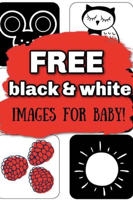 free black and white images for baby Newborn Black White Cards, High Contrast Newborn Printable, Black And White Pictures For Newborns, Black And White Images For Newborns, Newborn Flashcards Free Printable, Free Printable High Contrast Cards For Newborns, High Contrast Baby Images, Newborn Contrast Cards, Black And White Pictures For Babies