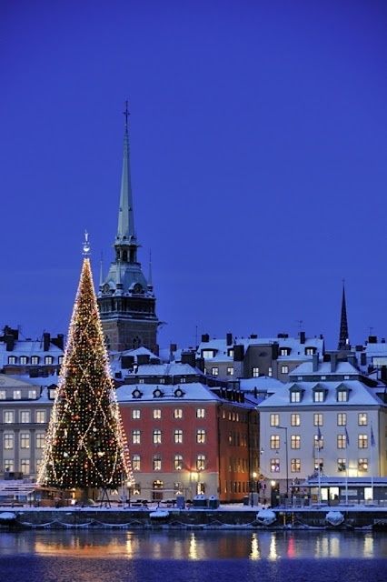 Christmas in Stockholm, Sweden Travel Sweden, Holly Christmas, Winter City, Christmas In The City, Haus Am See, Sweden Travel, Scandinavian Countries, Swedish Christmas, Nordic Countries