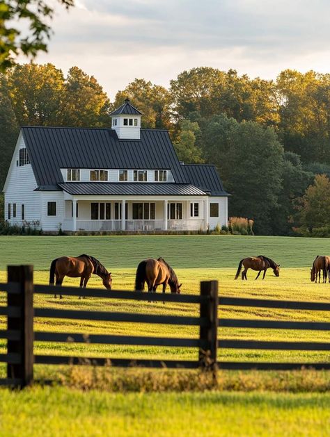 White House Big Porch, Ranch House With Horses, Small Ranch Aesthetic, Country Homestead Aesthetic, Horses On A Farm, Vision Board Farm Life, Horses On Farm, Land Ideas Acres, Country Farm Aesthetic