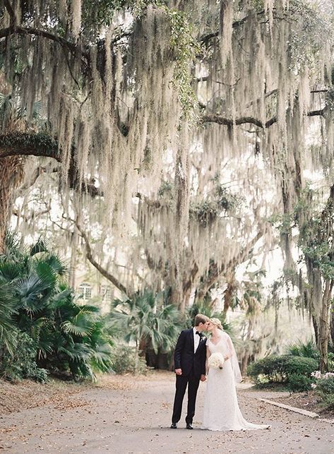 Spanish Moss Wedding, Spanish Moss Trees, Montage Palmetto Bluff, Moss Tree, Moss Wedding, Hilton Head South Carolina, Bridal Cake, Hilton Head Wedding, Romantic Garden Wedding