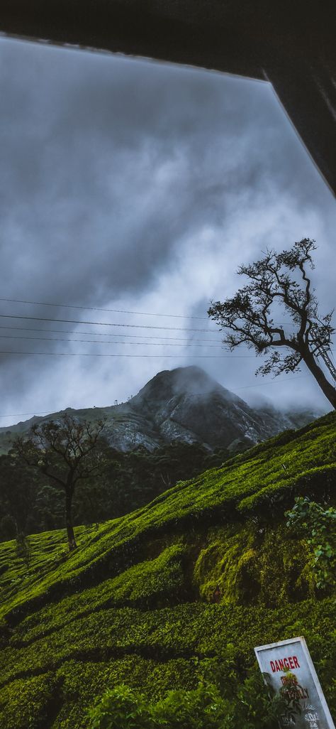 Munnar Photography Travel, Munnar Aesthetic, Munnar Photography, Loki Wallpaper, Summer Nature Photography, Mountain Pictures, Funny Cat Wallpaper, Flower Graphic Design, Full Size Photo