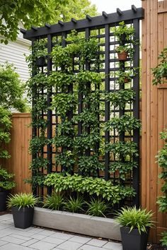 Beautiful backyard inspiration! Discover 20 amazing vertical trellis ideas to enhance your outdoor space. Add a touch of elegance and functionality with these innovative designs. Get ready to transform your yard! Click to explore and get inspired Black Trellis Ideas, Trellis Fence Ideas, Trellis Ideas For Privacy, Trellis Ideas Garden, Outdoor Trellis Ideas, Backyard Trellis, Vertical Trellis, Diy Trellis Ideas, Garden Trellis Ideas