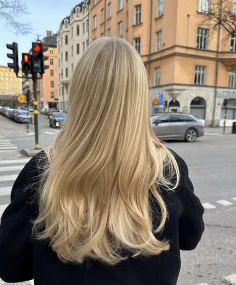 Long Blonde, Long Blonde Hair, Favorite Products, Blonde Hair, A Woman, Highlights, Blonde, Hairstyles, Hair