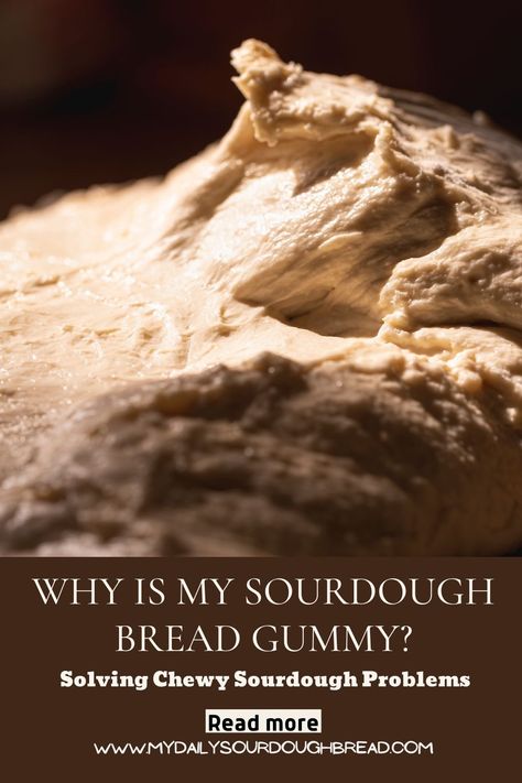 How To Read Sourdough Crumb, Sourdough Crumb Guide, Sourdough Beginner, Sourdough Bread Starter, No Limitations, Gluten Free Sourdough, Bread Starter, Wild Yeast, Sourdough Baking