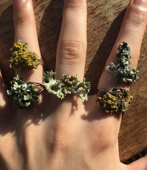 sosuperawesome:Lichen RingsAlex Stoyanova on Etsy - Family Campaign, Moss Design, Oh My Goddess, Pin Ideas, Goblin Core, Fairy Crafts, Sticker Ideas, Newsies, Funky Jewelry