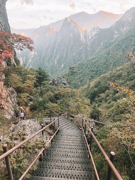 Seoraksan Hiking Guide: South Korea | Wanderlusters Travel Blog Seoul Travel Guide, Seoraksan National Park, South Korea Photography, Seoul Korea Travel, Seoul Travel, Fotografi Kota, South Korea Travel, Hiking Guide, Travel Wallpaper