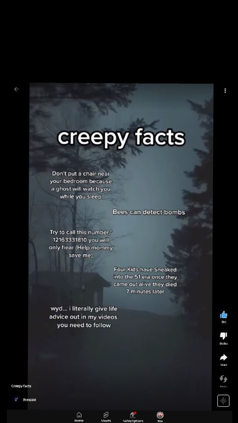 Creepy Facts... Did You Know Scary Facts, Horror Numbers To Call, Creepy Phone Numbers To Call, Creepy Theories, Creepy Facts Scary, Real Creepy Facts, Dark Theories, Funny Numbers To Call, Terrifying Facts