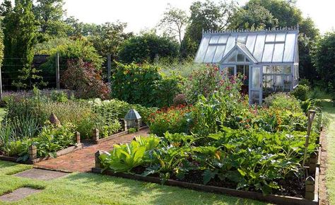 Vegetable Garden With Shed, Vegetable Garden Design Australia, Kitchen Garden Greenhouse, Vegetable Garden With Greenhouse, British Vegetable Garden, Walled Kitchen Garden, Garden And Greenhouse Layout, English Kitchen Garden, Mediterranean Vegetable Garden