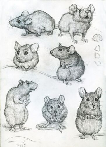 Original Mice & Rat Character Design Concept Pencil Drawings - Hand Signed | eBay Mice Art Illustration, Rat Illustration Ink, Object Into Character, Drawings Of Mice, Mice Illustration Drawings, Backpack Illustration Drawing, Holding Basket Pose Reference, Micron Pen Art Sketches Architecture, How To Draw Mouse