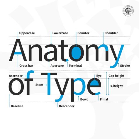 What Is Type Anatomy? | Interaction Design Foundation (IxDF) Anatomy Of Type, Anatomy Of Typography, Type Anatomy, Google Material Design, Own Language, Free Script Fonts, Type Posters, Creative Fonts, Interaction Design