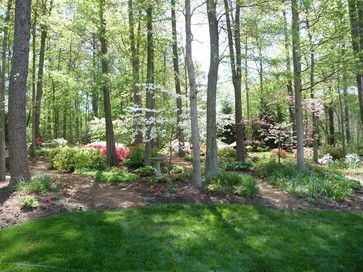 Wooded Backyard Landscape Design Ideas, Pictures, Remodel and Decor Wooded Backyard Landscape, Wooded Landscaping, Backyard Flowers, Easy Landscaping, Inspire Me Home Decor, Landscape Plans, Traditional Landscape, Woodland Garden, Landscaping Tips