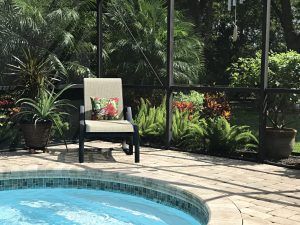 Lanai Landscaping in Sarasota: Think Outside the Pool Cage - ArtisTree ArtisTree Lanai Landscape Ideas, Lania Ideas Outdoor Living Pool, Florida Landscaping Around Pool Cage, Pool Cage Landscaping Ideas, Pool Lanai, Pool Planters, Florida Lanai, Landscaping Around Pool, Pool Cage