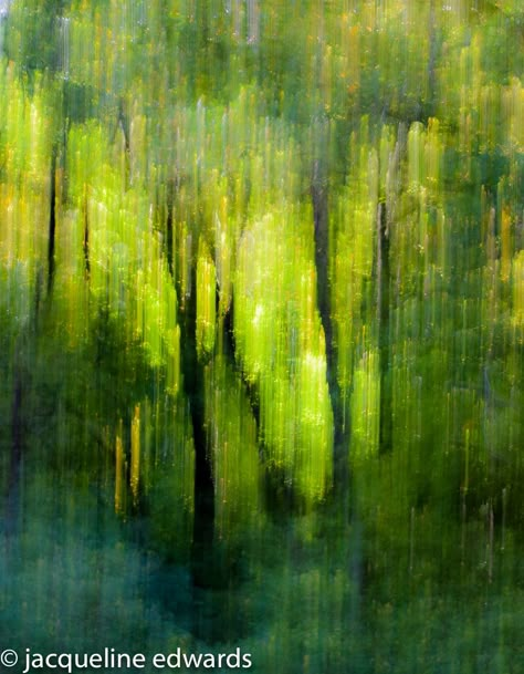 Morning in the Forest. Abstract Woods Painting, Forest Painting Background, Forest Abstract Art, Abstract Art Forest, Forest Green Painting, Abstract Forest Painting Acrylics, Abstract Forest Art, Green Forest Painting, Abstract Forest Painting