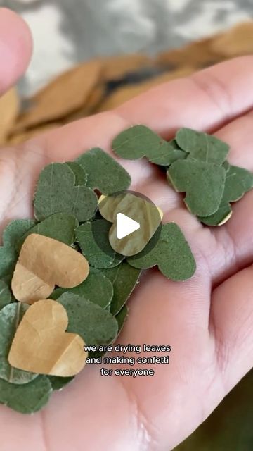 LIVEKINDLY | Home of Sustainability on Instagram: "The average wedding produces 400 pounds of trash 😬 Reduce waste by having wedding guests throw biodegradable leaves instead of plastic confetti! 🍂🎉 Comment below with your tips for having a sustainable wedding.  video credit @hero_to_0   🌱 Follow @livekindly for more sustainable tips. Join our community of 731k+ planet champions 🌎   #sustainable #sustainableliving #ecofriendly #plasticfree #zerowaste #weddingideas #plasticfree #zerowasteliving #biodegradable #ecowedding" Leaves Confetti, Sustainable Tips, Throwing Confetti, Leaf Confetti, Wedding Organizer, Eco Wedding, Sustainable Wedding, Zero Waste Living, Wedding Confetti